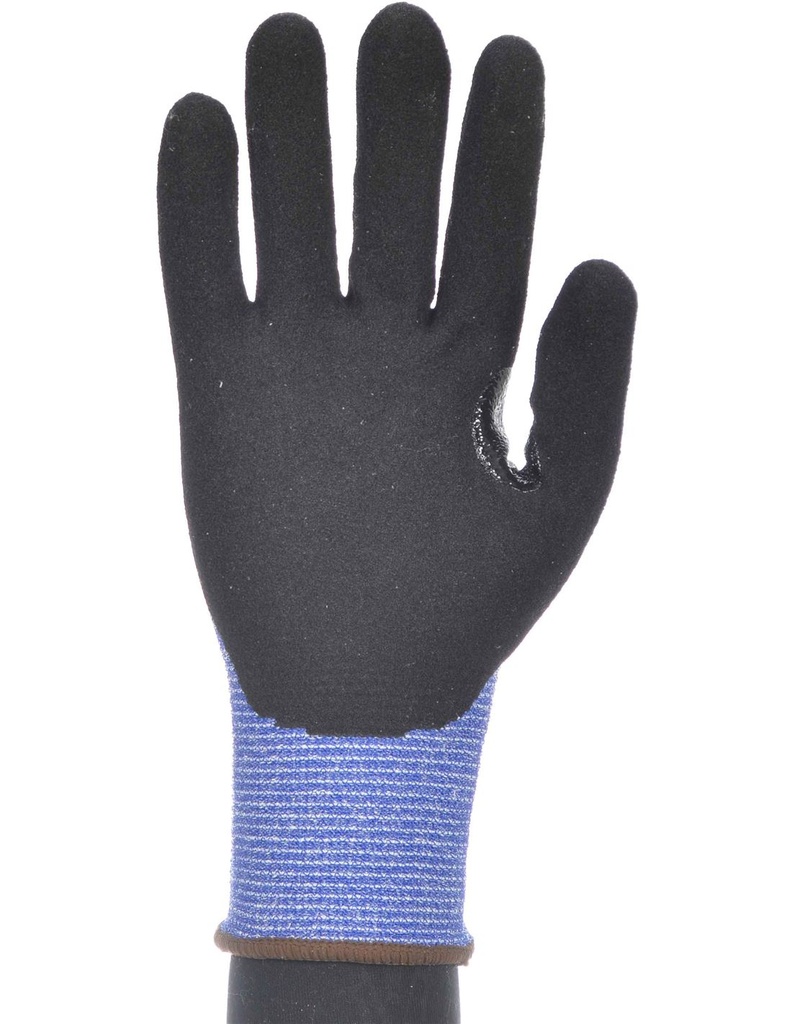 GTE PALMA NITR FOAM (CORTE C)