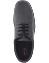 ZAPATO PANTER CORDONES SIN PTRA